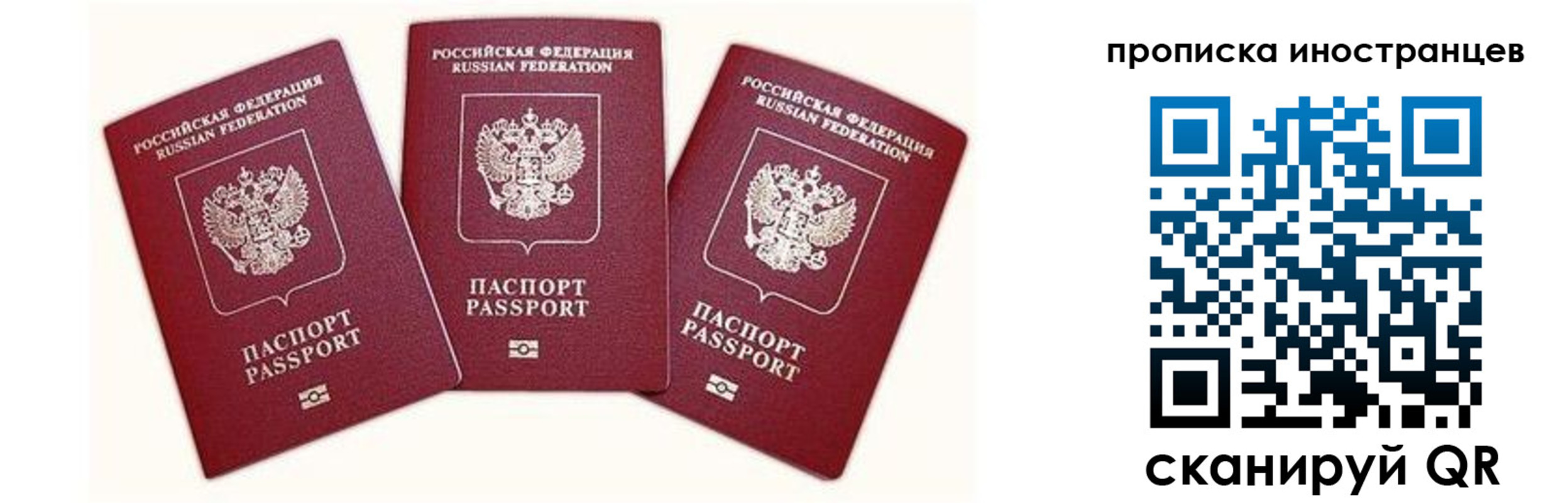 прописка в Нововоронеже
